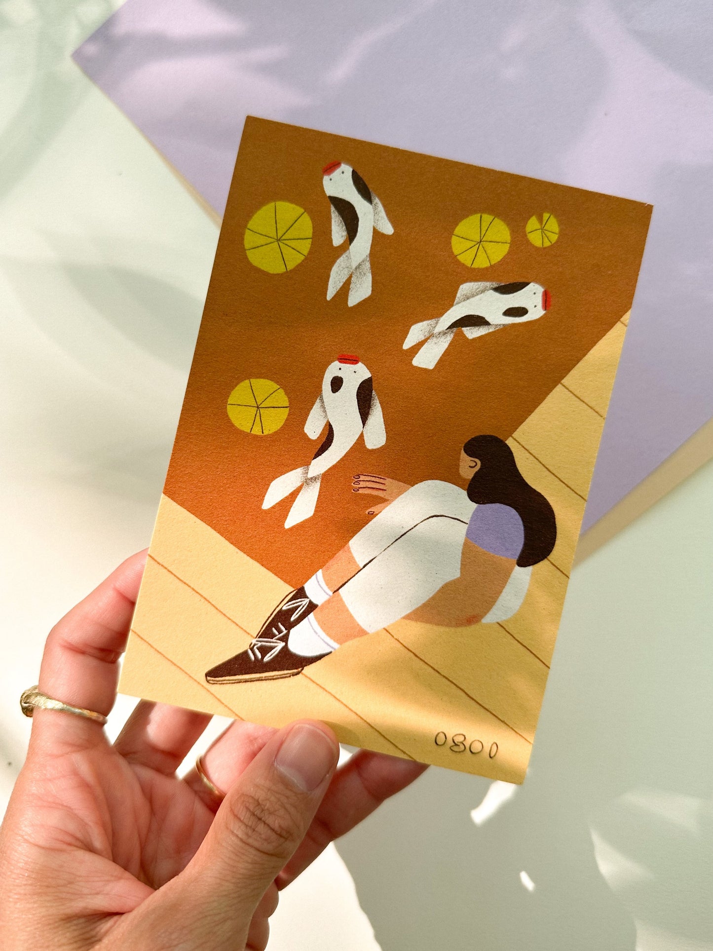 Koi Post card