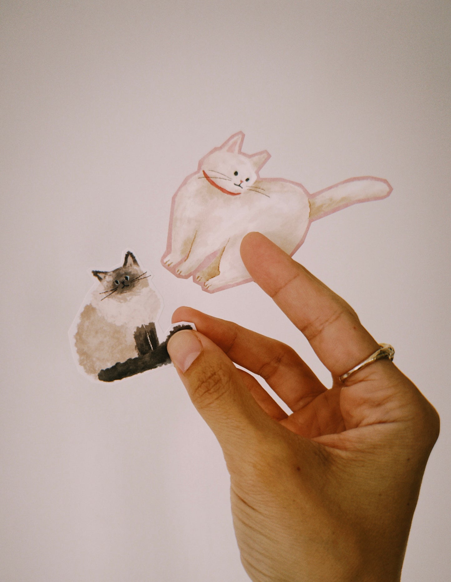 Tokyo Surprise Package
