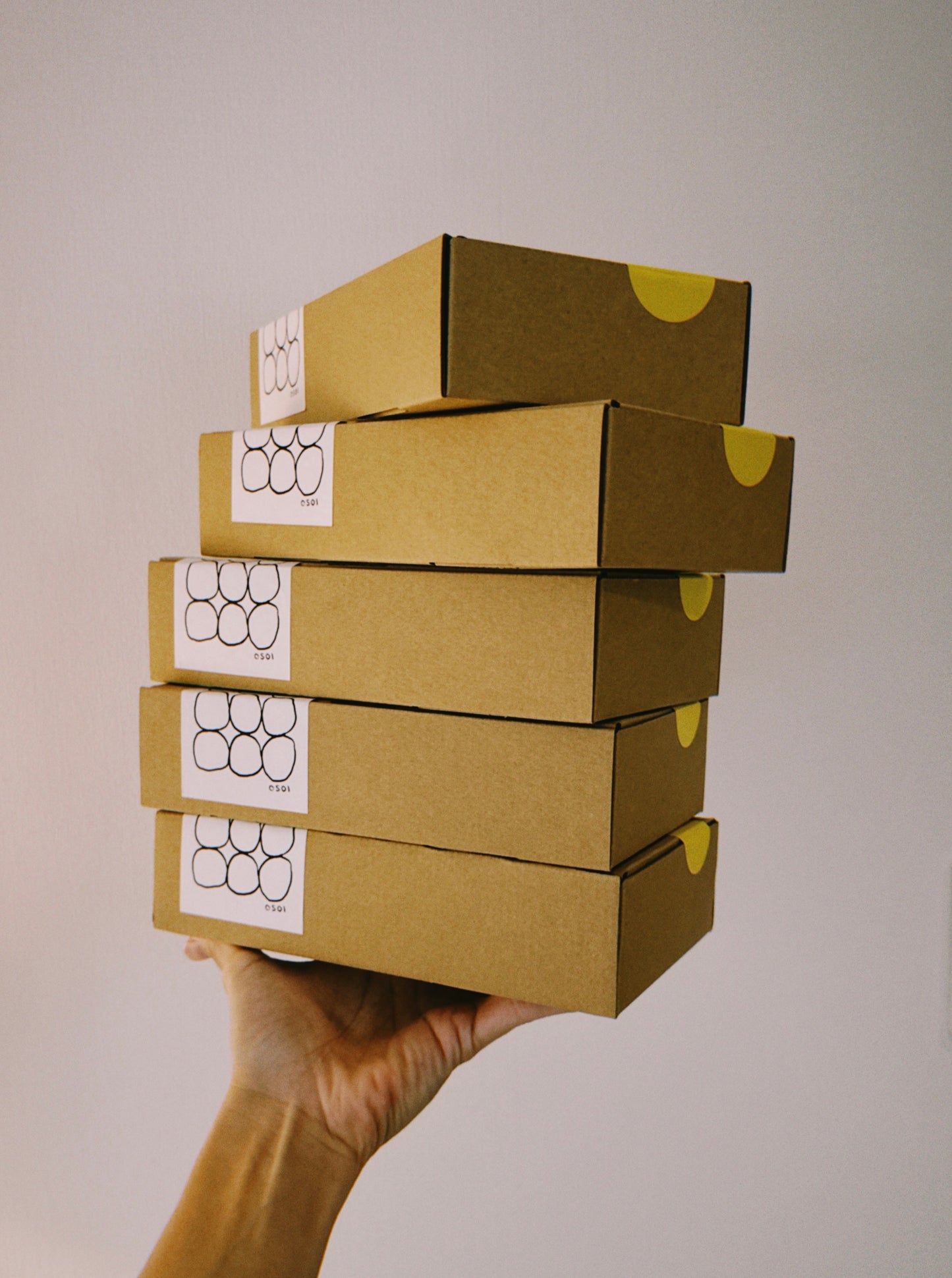 Tokyo Surprise Package