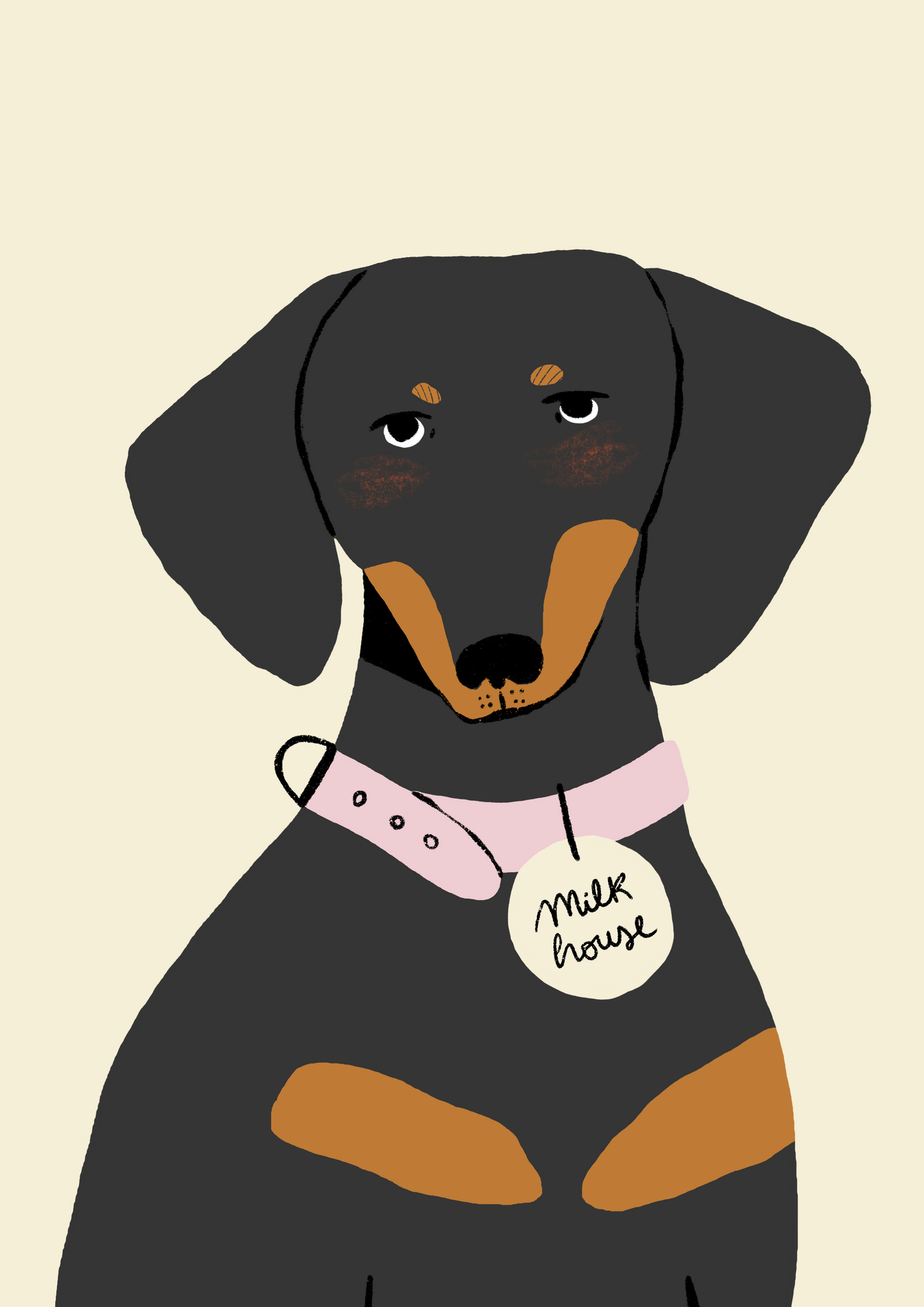 Retrato Mascota