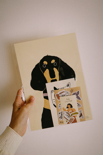 Pet Portrait