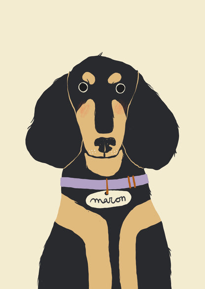Pet Portrait